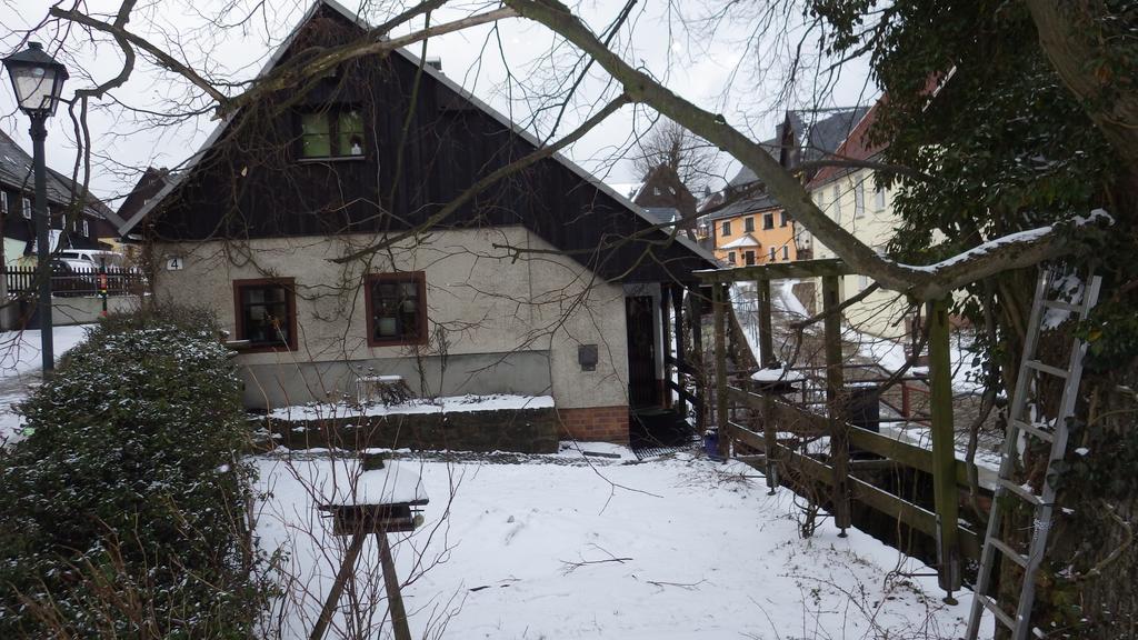Ferienhaus Frieda Алтенберг Източен Ерцгебирге Екстериор снимка