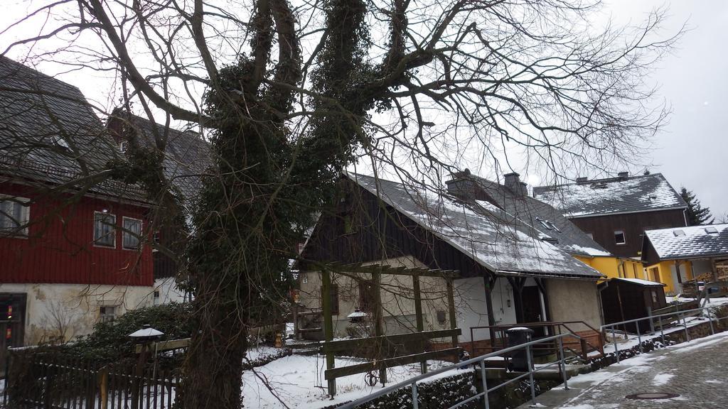 Ferienhaus Frieda Алтенберг Източен Ерцгебирге Екстериор снимка